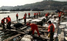  泉州市政府發(fā)布東港化學品泄漏事件處置情況