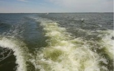  烏梁素海生態(tài)環(huán)境形勢仍不樂觀 綜合治理規(guī)劃不嚴不實