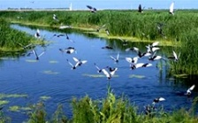  IPBES全球評(píng)估第三次作者會(huì)在德國召開