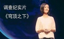  柴靜紀錄片《穹頂之下》引發(fā)關注