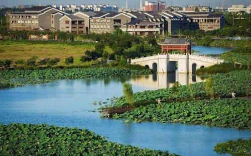 從&ldquo;優(yōu)環(huán)境&rdquo;到&ldquo;強產業(yè)&rdquo;再到&ldquo;惠民生&rdquo; 東莞市麻涌鎮(zhèn)走通綠色發(fā)展&ldquo;閉環(huán)&rdquo;